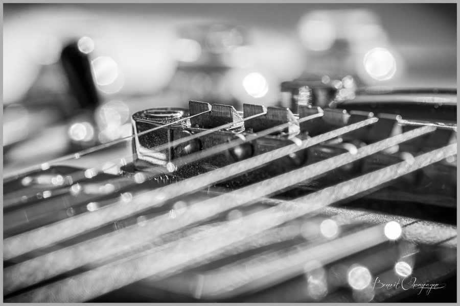 Guitar close-up